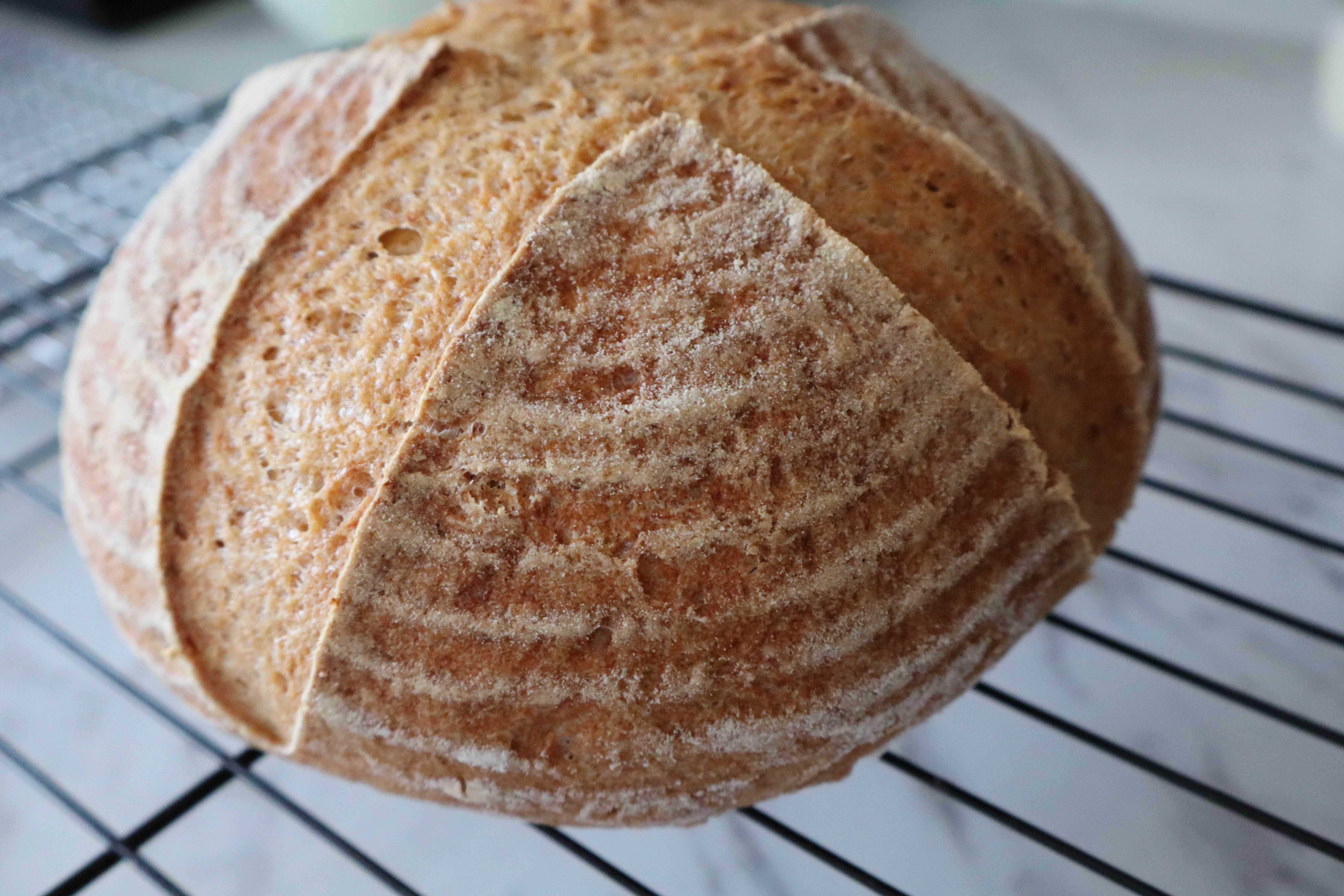 Gluten-Free Sourdough Bread for Beginners