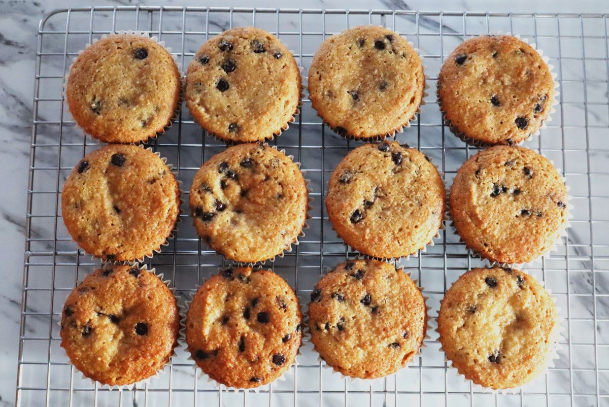 Gluten-Free Sourdough Chocolate Chip Muffins