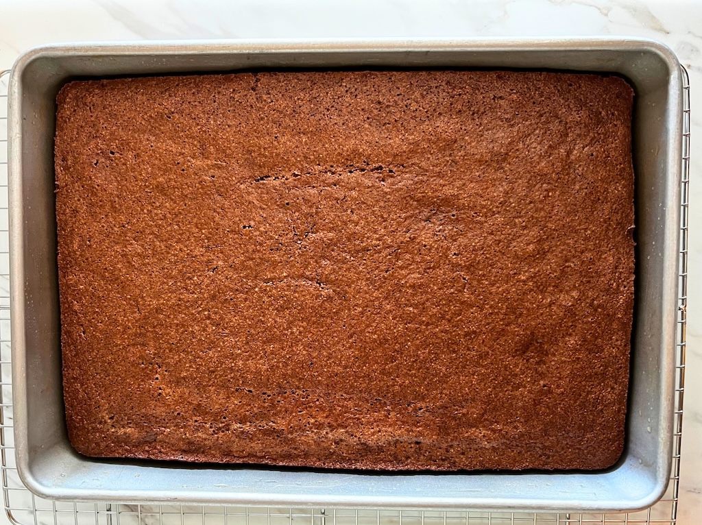 Grain-Free Sourdough Chocolate Cake